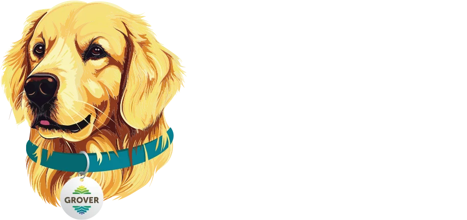 Grover Turf Care