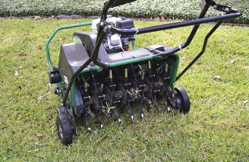 lawn aeration service