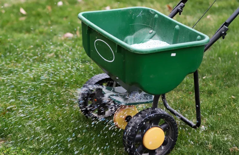 fertilizing lawn