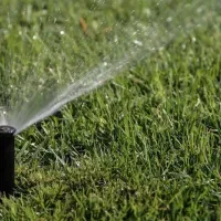 sprinkler-grass