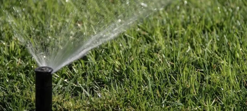 sprinkler-grass