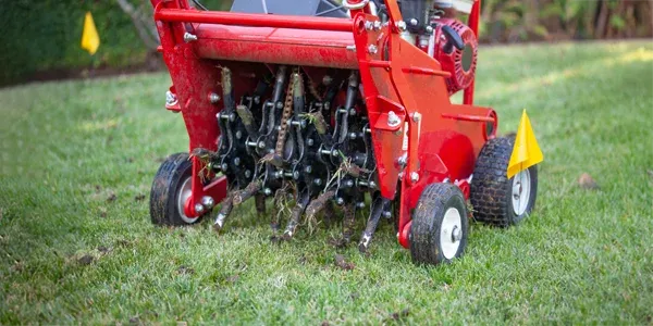 lawn aeration