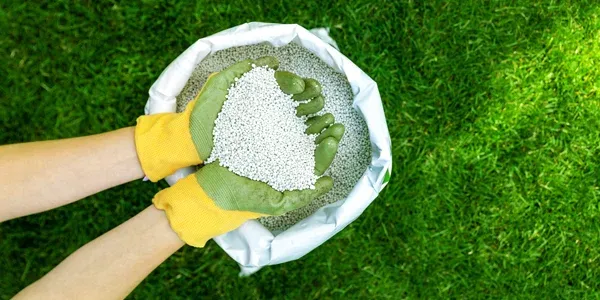lawn fertilizer