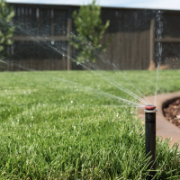 sprinkler head spraying water on lawn