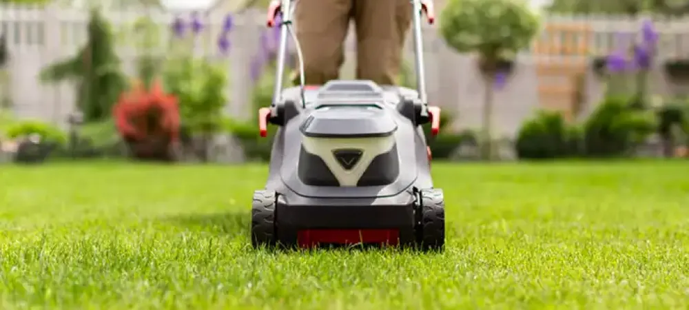 mowing-lawn